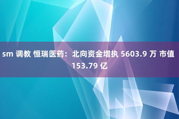 sm 调教 恒瑞医药：北向资金增执 5603.9 万 市值 153.79 亿