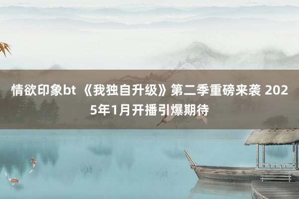 情欲印象bt 《我独自升级》第二季重磅来袭 2025年1月开播引爆期待