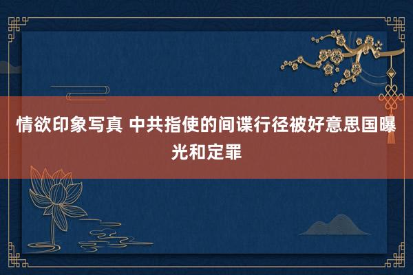 情欲印象写真 中共指使的间谍行径被好意思国曝光和定罪